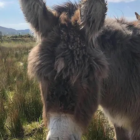 The Waterside 112 Harbour Mills 아파트 웨스트포트