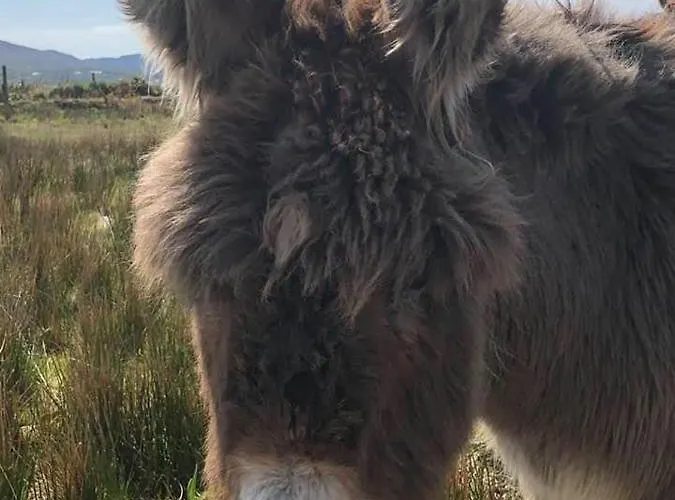 The Waterside 112 Harbour Mills Apartamento Westport